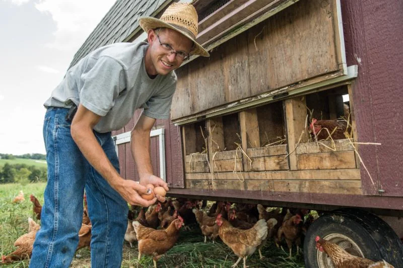 Gregory+Stricker+-+Spring_Creek_Farm-5854 A farmer collecting fresh eggs from a mobile chicken coop surrounded by free-range hens in a green pasture.