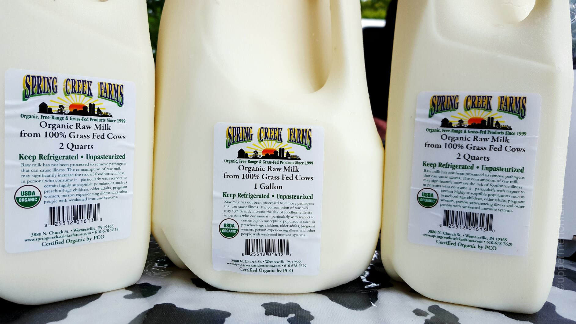 milk1 Bottles of organic raw milk labeled from Spring Creek Farms, featuring 100% grass-fed cows. Includes two quart and one gallon containers with USDA organic certification, emphasizing refrigeration and unpasteurized status.